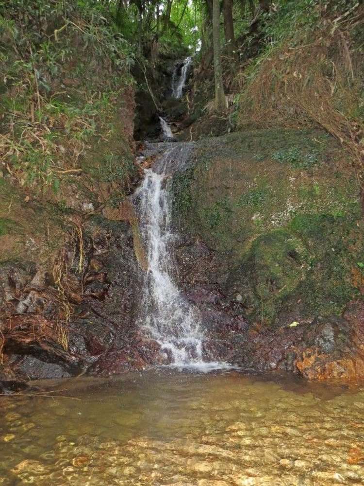 747a No 4 Road Te Puke_20