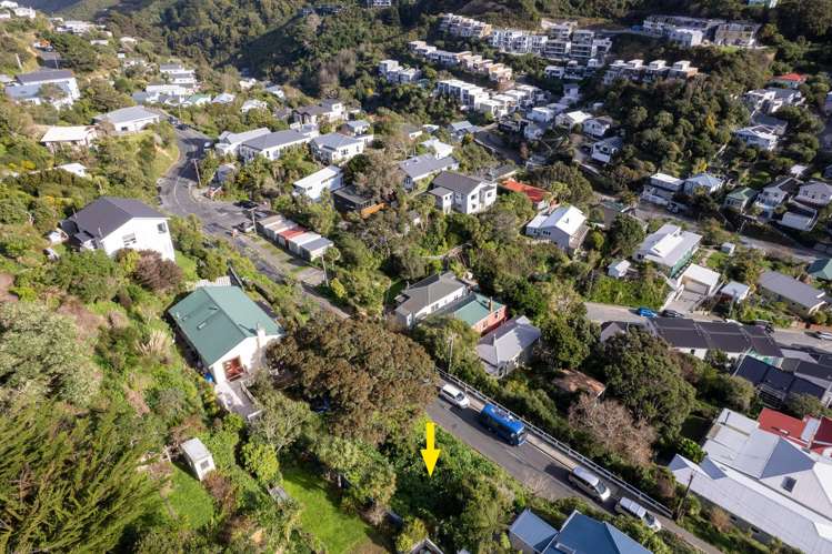 19 Mornington Road Brooklyn_12