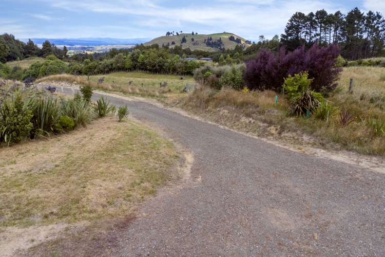 213 Forest Road Oruanui_13