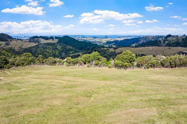 Lot 3/181C Govan Wilson Road Matakana_2