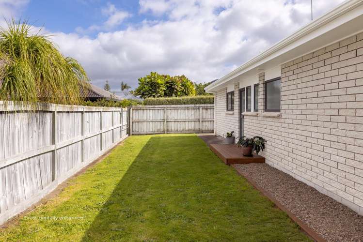 32B Crane Street Mt Maunganui_14