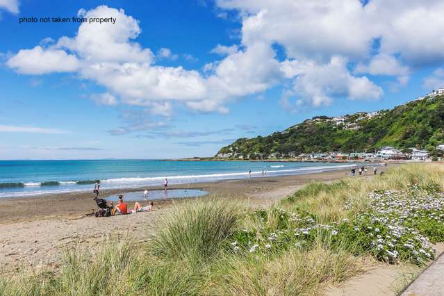 97 Apu Crescent Lyall Bay_1