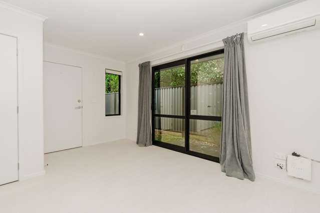 1/1 Brooklyn Road Claudelands_3