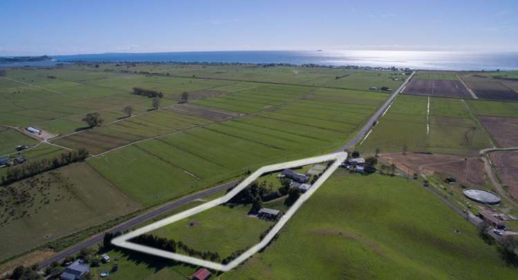 156 Pukehina Beach Road Pukehina_4