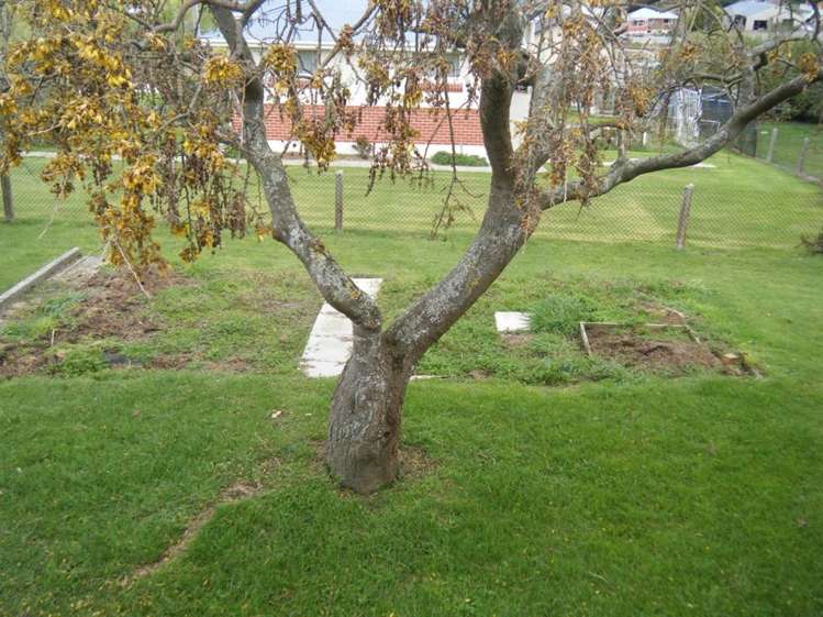 36 Harwich Street Balclutha_9