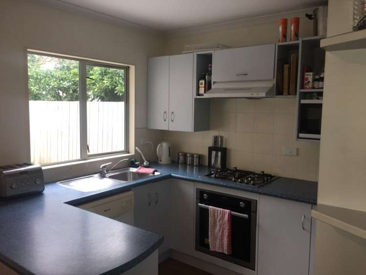 183a Massey Street Frankton_2