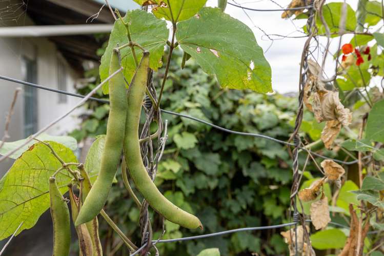 12 George Street Te Aroha_13