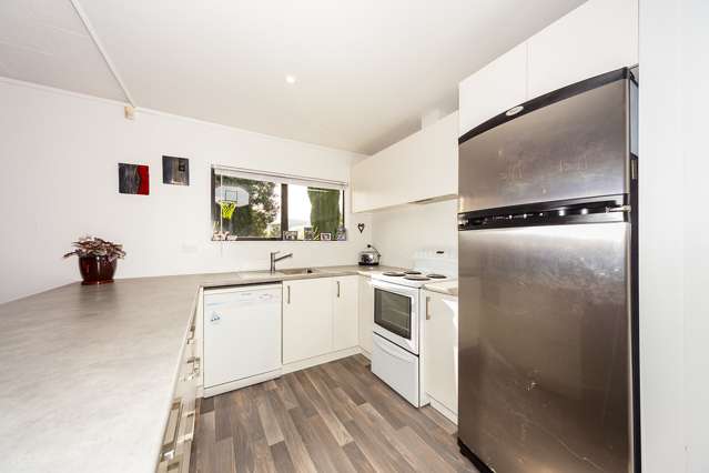 1/1 Thomas Road Flat Bush_1