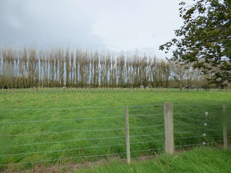 406 Racecourse Road Allenton_11