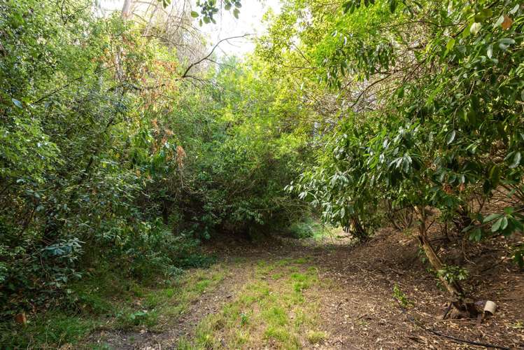 6 Plumwood Lane Cashmere_18