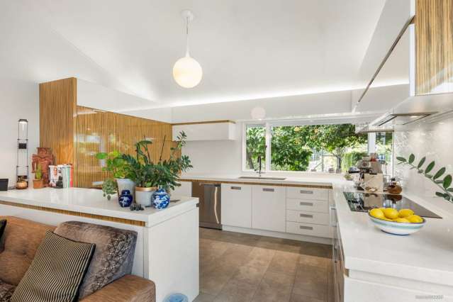 233 Ponga Road Drury_2