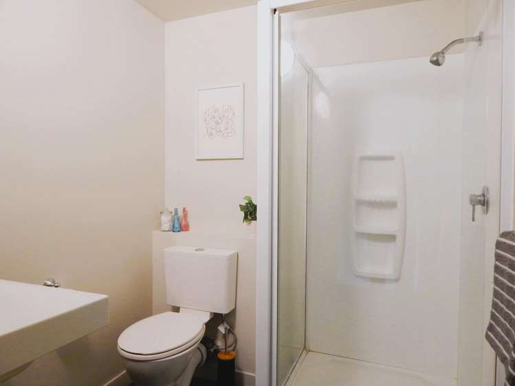 1F/242 Taranaki Street Mount Cook_8