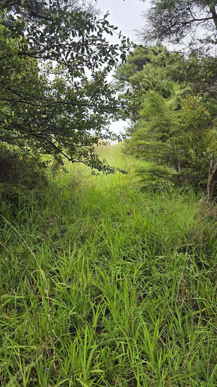 540b Medland Road Great Barrier Island_12