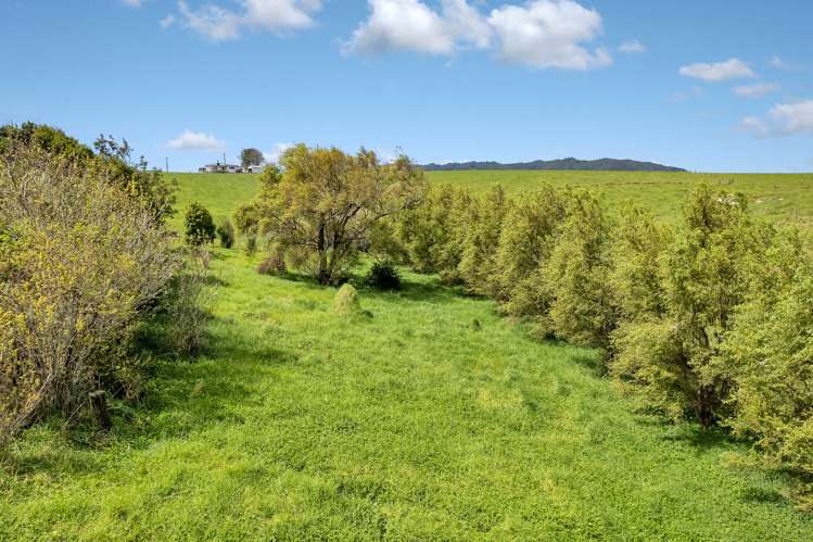 121 Taipuha Station Road Otamatea Surrounds_33