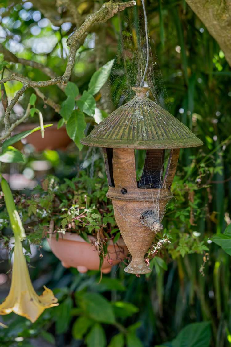 638 Onewhero Tuakau Bridge Road Tuakau_23