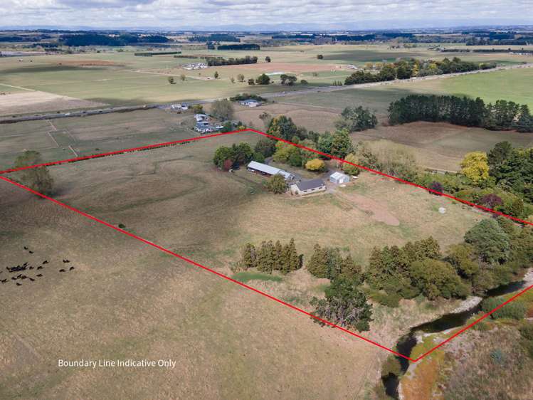 455b State Highway 1 Bulls_33