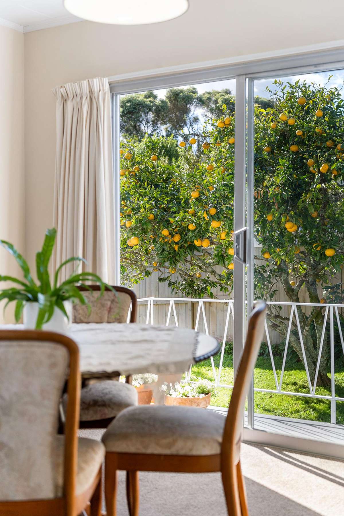 24 Sunnynook Road_1