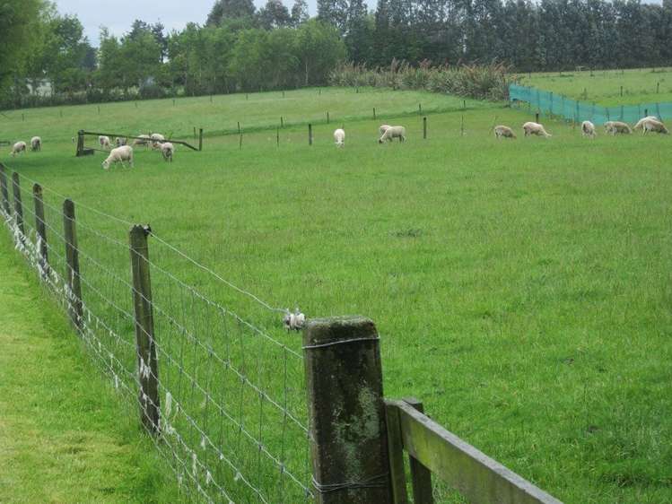 73 Flora Road East Makarewa_1