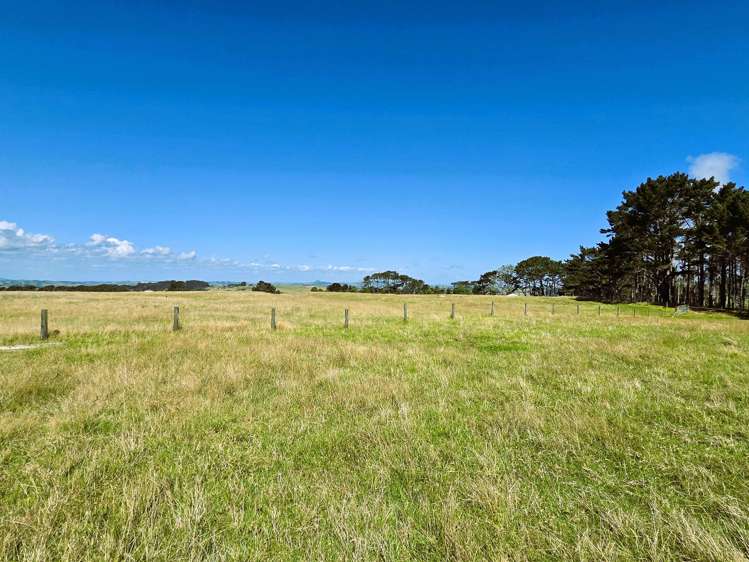 Mount Wesley Coast Road Dargaville_17