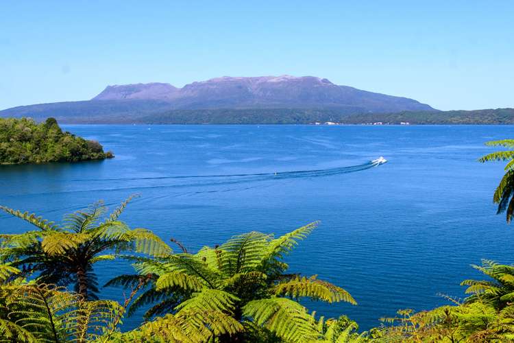 51 Spencer Road Lake Tarawera_21