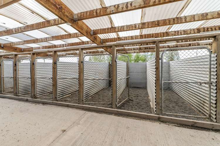 199 Harts Road Leeston_23