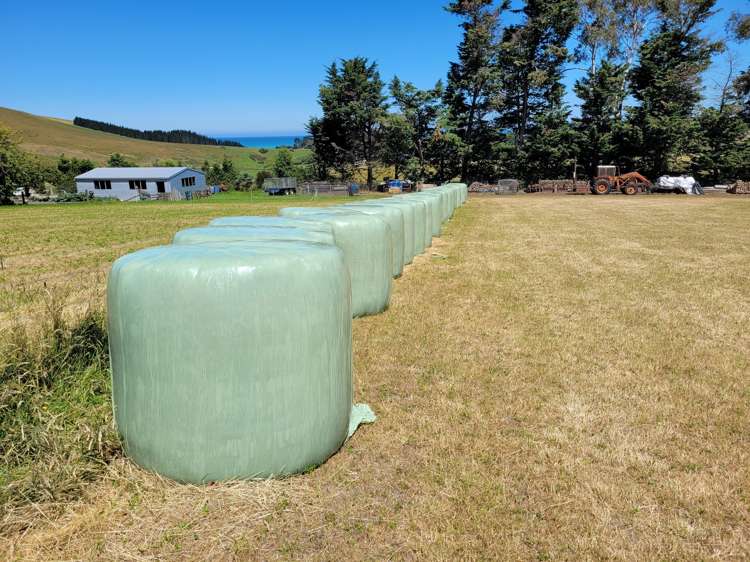 18 Jessop Street Oamaru_13