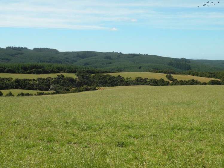 44 Fletts Road Milton_11