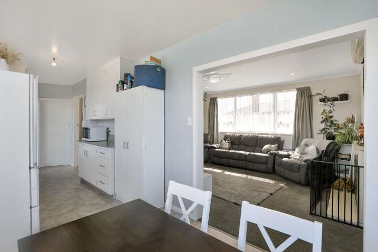 65 George Street Tinwald_8