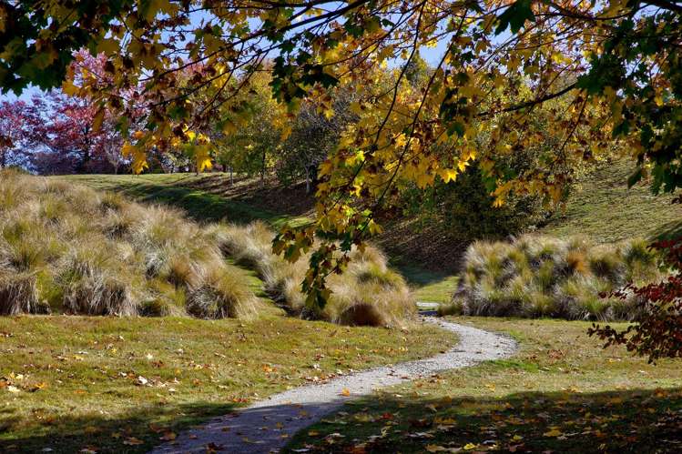 530 Littles Road Dalefield_10