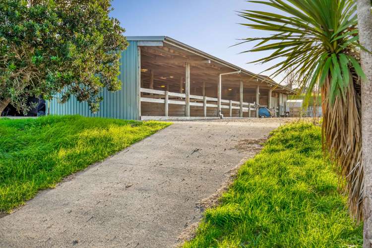 154 Muriwai Valley Road Muriwai_5