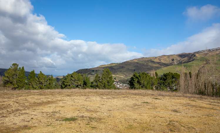 Ladysmith Road Roxburgh East_15