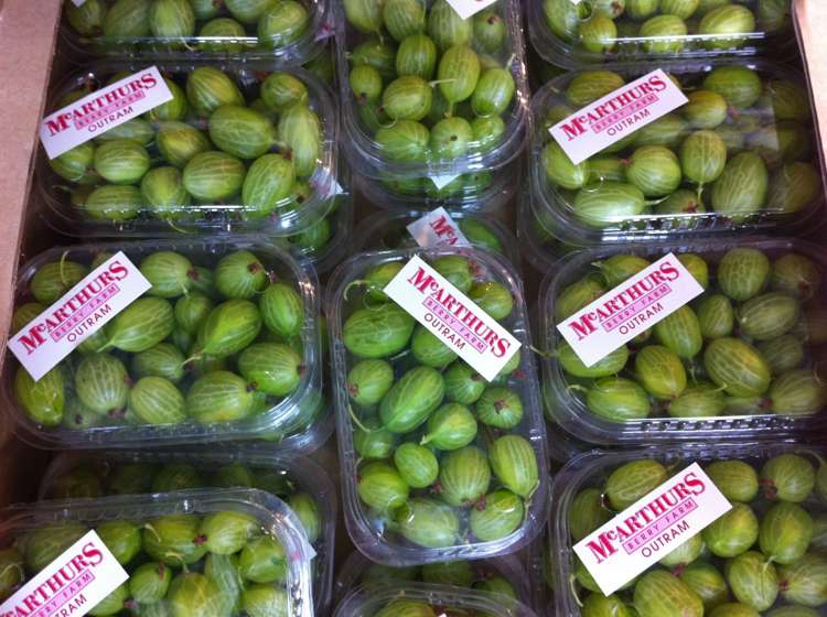 781 Outram-Mosgiel Road Mosgiel_17