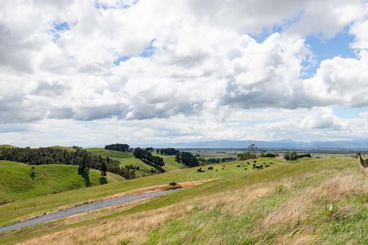 169 Torehape Road West Kaihere_41