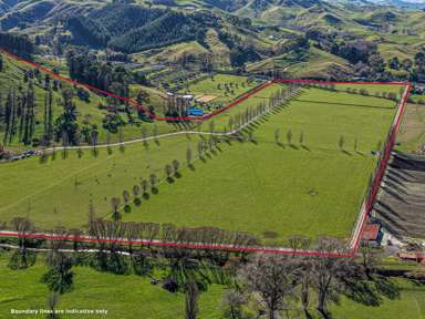 717k Puketitiri Road_3