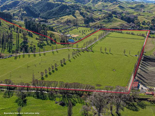 717k Puketitiri Road Puketapu_3