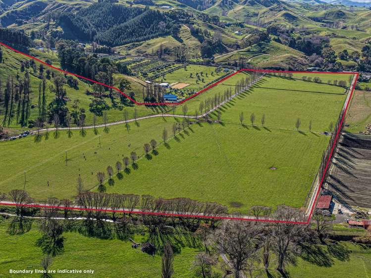 717k Puketitiri Road Puketapu_3