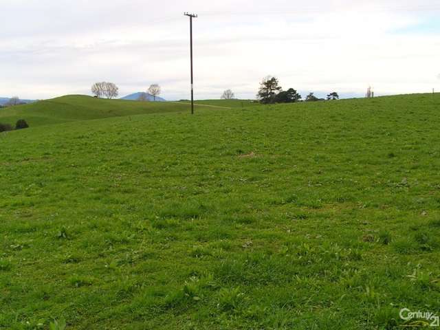 159 Bonner Road Otorohanga_1