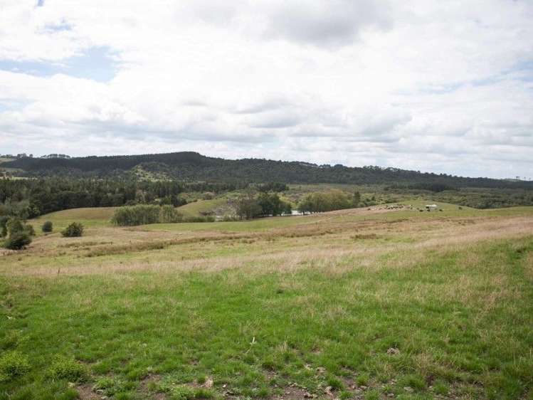 137 Sanson Road Ruawaro_30