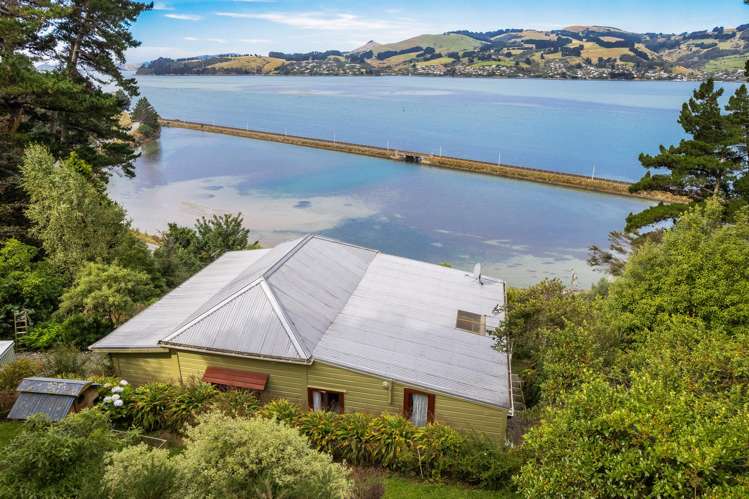 1A Burkes Drive Saint Leonards_20