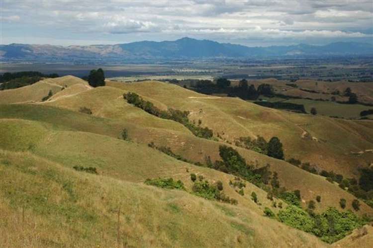 Waiti Road Tahuna_21