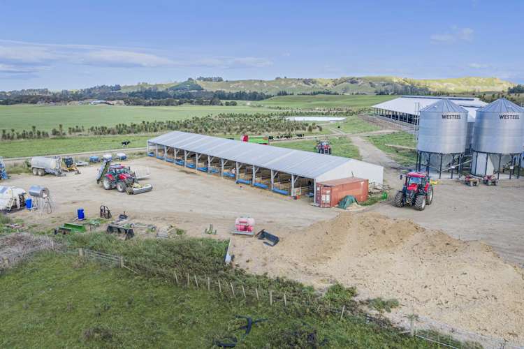 500 Willowford Road Waiwhare_10