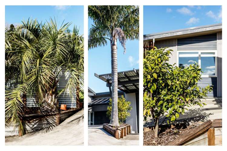 43 Beattie Road_1
