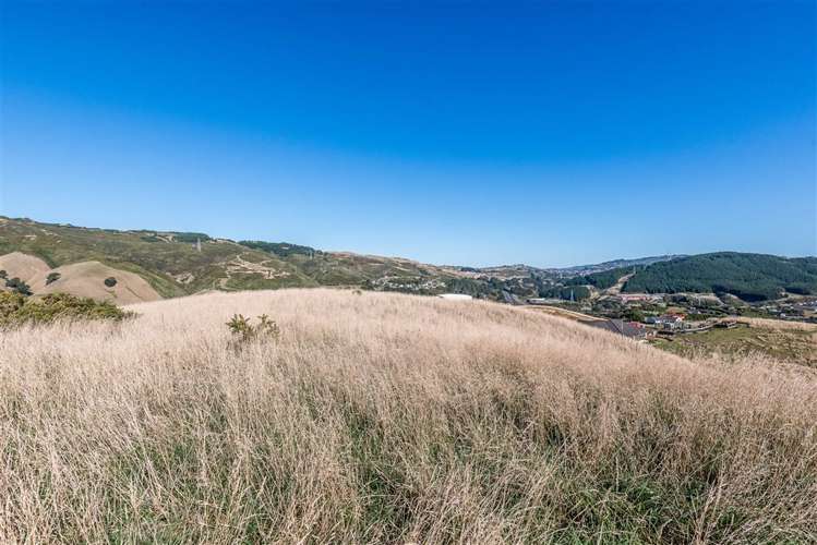 72 Bing Lucas Drive Tawa_14