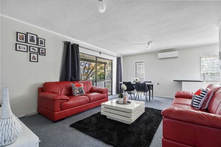 790 Bank Street Te Awamutu_4