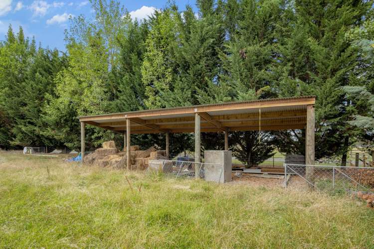 47 Seniors Road Wairau Valley_6