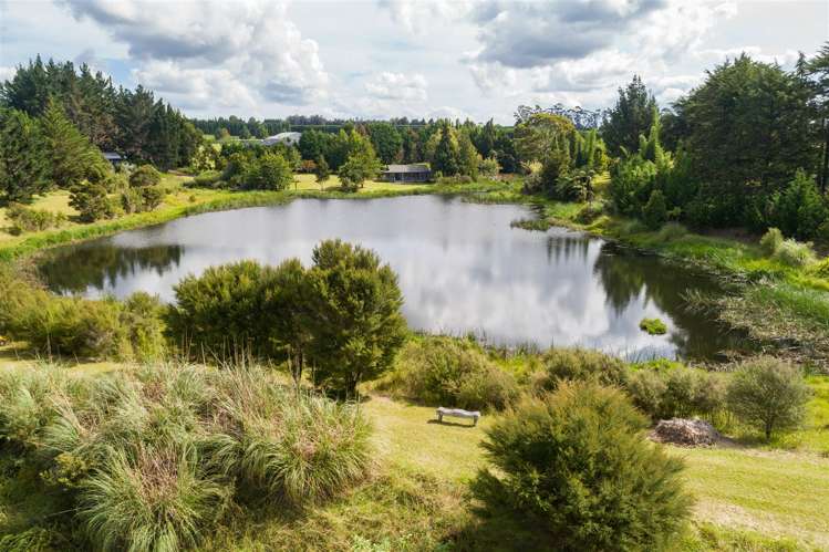 50 Equestrian Drive Kerikeri_10