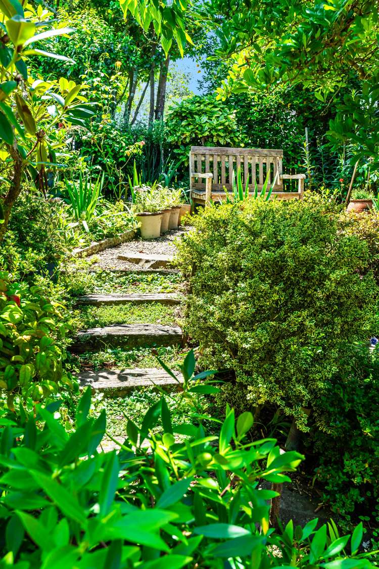 7 Helvetia Drive Browns Bay_24