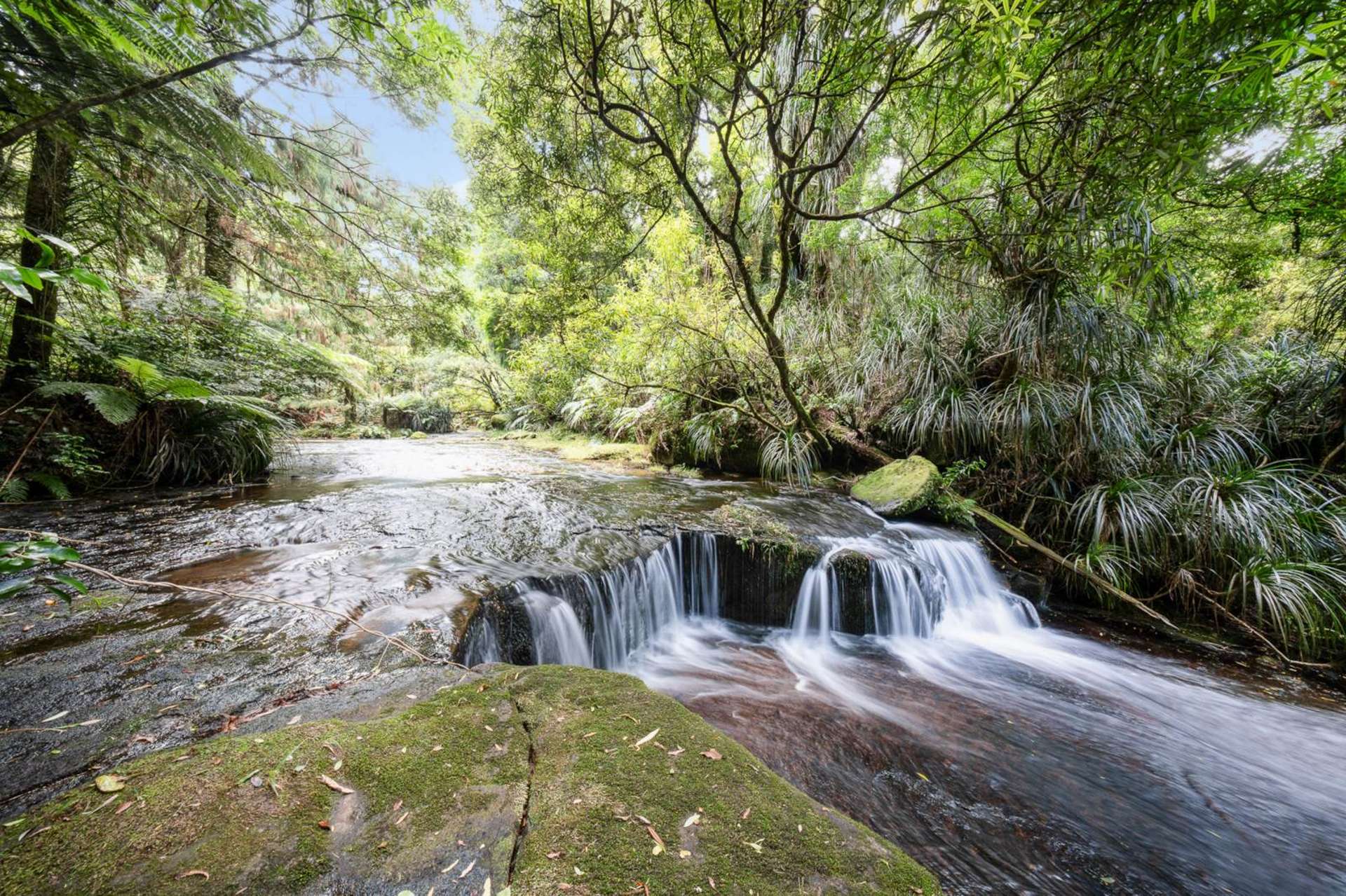 280 Old Kaimai Road Lower Kaimai_0
