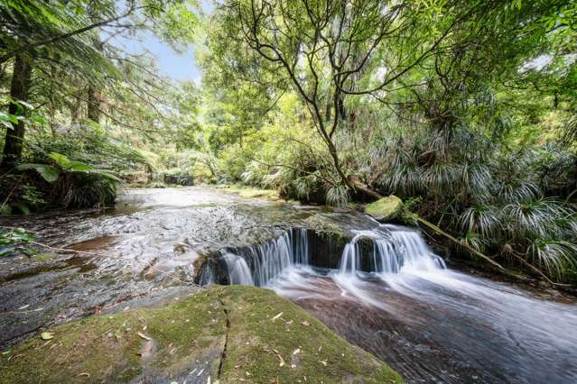 The Ultimate Outdoor Playground