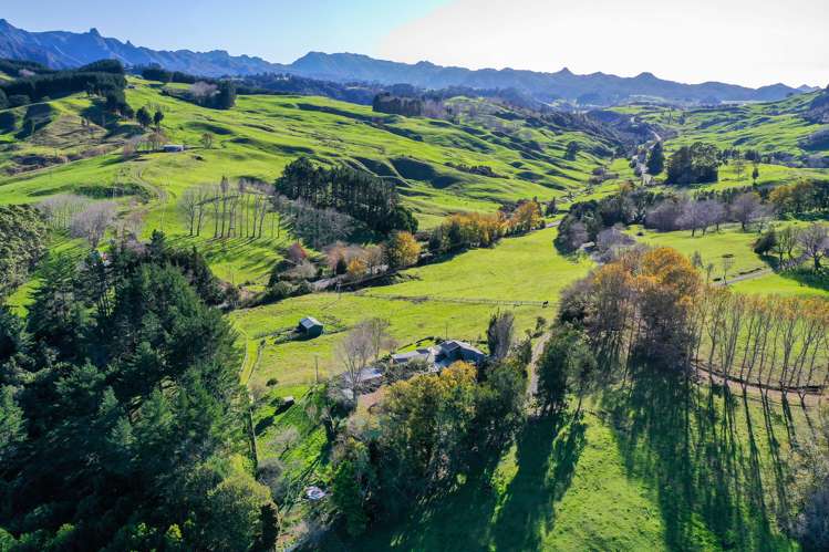 2450 Kopu Hikuai Sh25a Road Hikuai_16